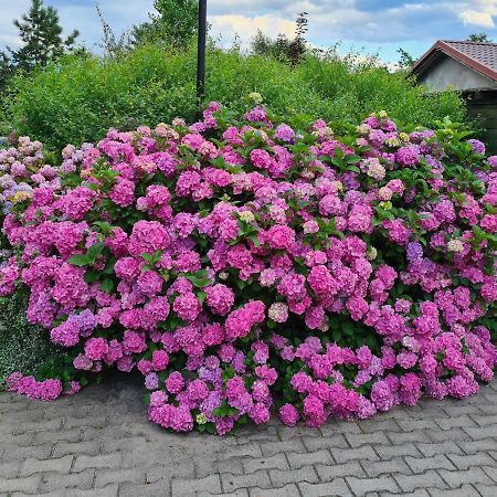 Dworek Sw.Antoniego Slawutowo Экстерьер фото