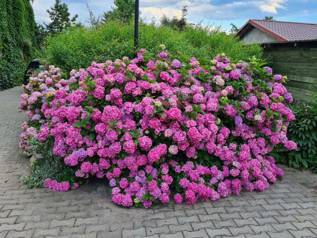 Dworek Sw.Antoniego Slawutowo Экстерьер фото
